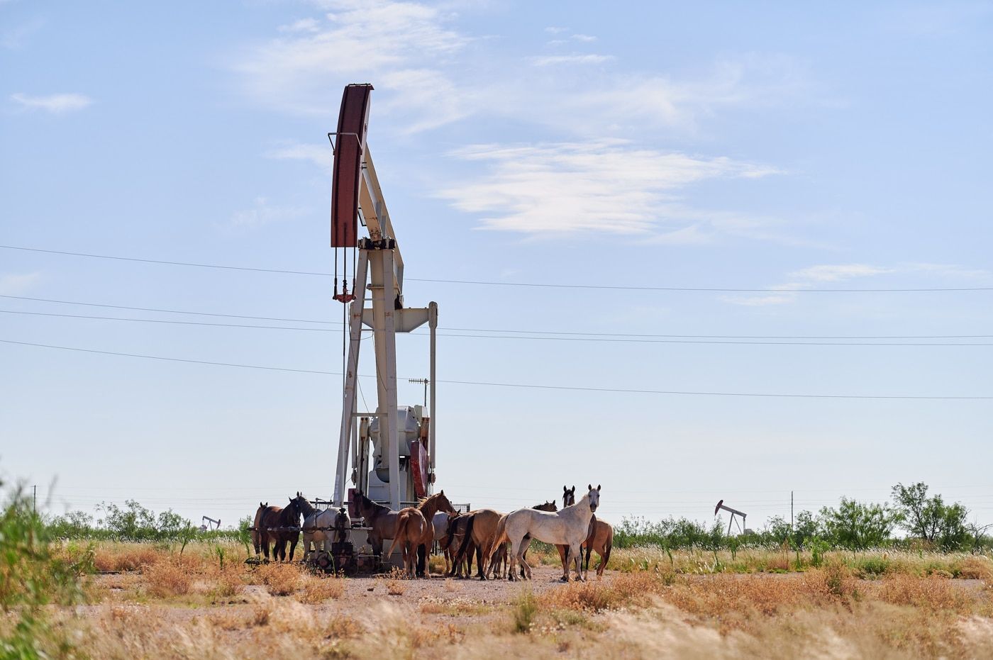 Oil well pumpjack on Mississippi pastureland surveyed for an oil and gas operator